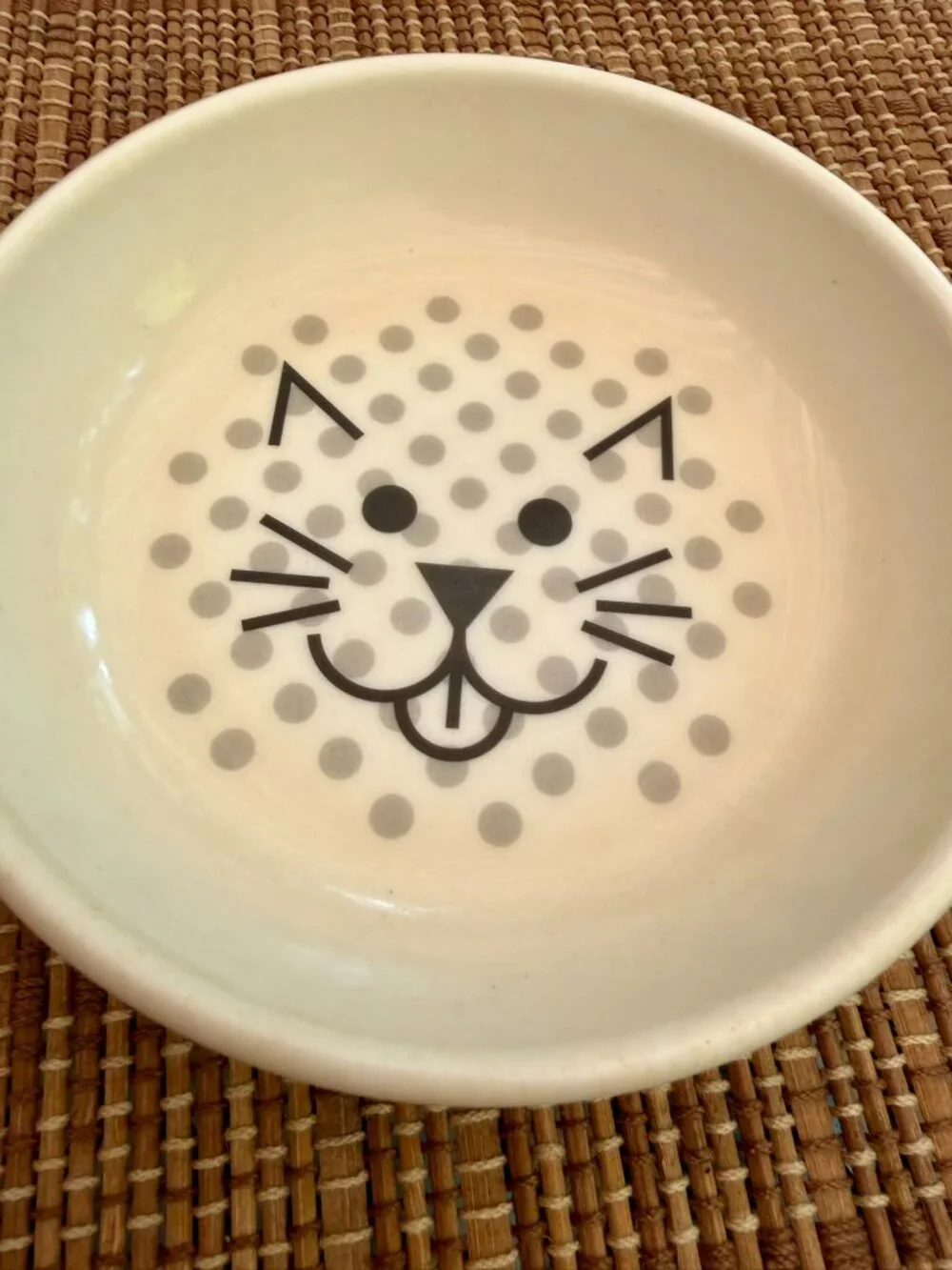 🐾PET | Van Ness Ecoware Non‑Skid Cat Bowls (Set-2) – BPA‑Free, Whisker‑Friendly